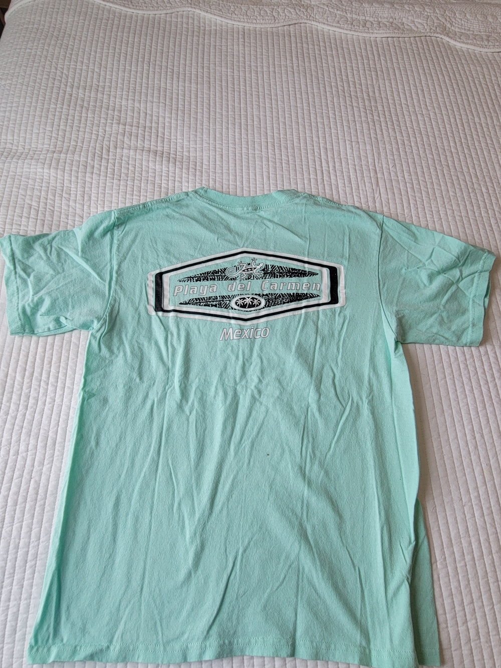 Playa del Carmen Graphic Tee - Mint